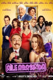 In the Family 2017 one on netflix