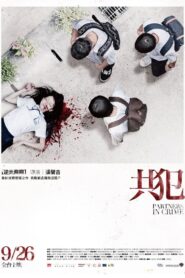 Partners in Crime 2014 one on netflix