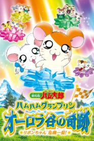 Hamtaro: Miracle in Aurora Valley 2003 one on netflix