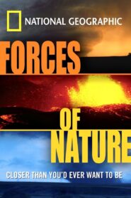 Forces Of Nature 2004 one on netflix