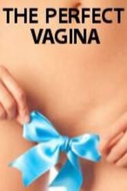 The Perfect Vagina 2008 one on netflix