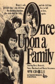 Once Upon a Family 1980 one on netflix