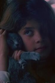El eco 1984 one on netflix