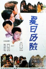 夏日历险 1991 one on netflix