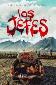 The Bosses 2015 one on netflix