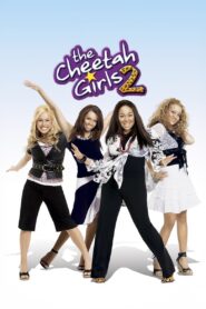 The Cheetah Girls 2 2006 one on netflix