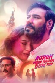 Auron Mein Kahan Dum Tha 2024 one on netflix