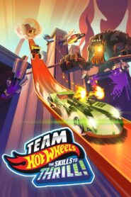 Team Hot Wheels: The Skills to Thrill 2015 one on netflix