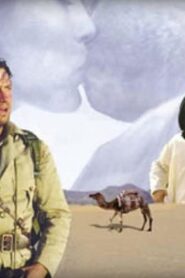 Jewel of the Sahara 2001 one on netflix