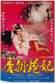 The Devil Woman of Tang Dynasty 1993 one on netflix