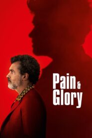 Pain and Glory 2019 one on netflix