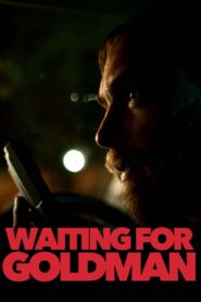Waiting for Goldman 2021 one on netflix