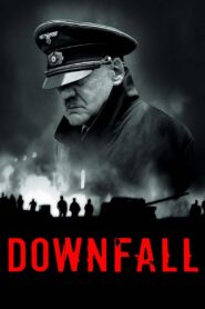 Downfall 2004 one on netflix