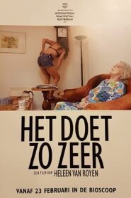 Het Doet Zo Zeer 2017 one on netflix
