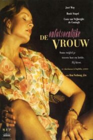 The Indecent Woman 1991 one on netflix