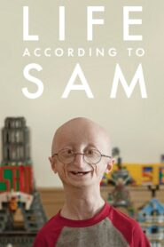 Life According to Sam 2013 one on netflix