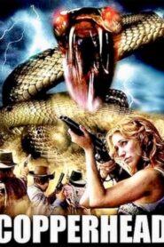 Copperhead 2008 one on netflix