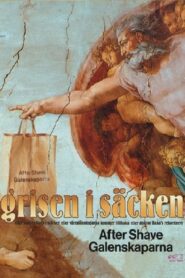 Grisen i säcken 1992 one on netflix