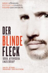 The Blind Spot 2013 one on netflix