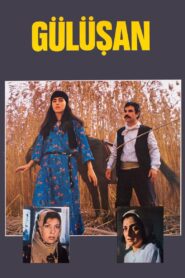 Gülüşan 1985 one on netflix