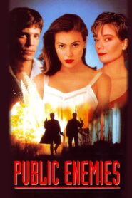 Public Enemies 1996 one on netflix