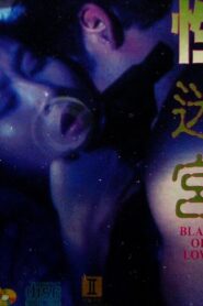 Blaze of Love 1994 one on netflix