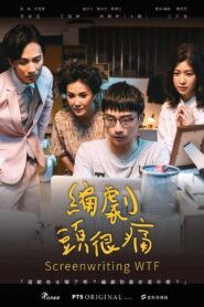 Screenwriting WTF 2019 one on netflix