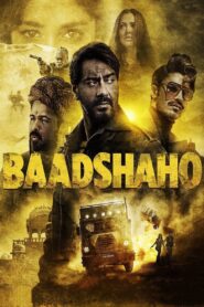 Baadshaho 2017 one on netflix