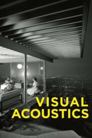Visual Acoustics 2008 one on netflix