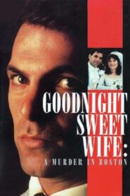 Goodnight Sweet Wife: A Murder in Boston 1990 one on netflix