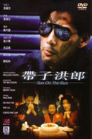 Son on the Run 1991 one on netflix