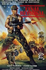 Final Reprisal 1988 one on netflix