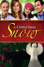 A Christmas Snow 2010 one on netflix