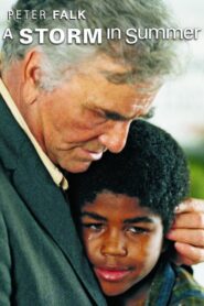 A Storm in Summer 2000 one on netflix