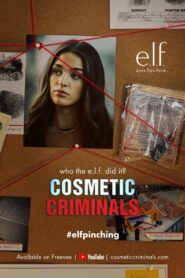 Cosmetic Criminals 2024 one on netflix