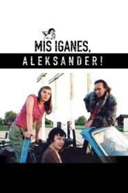 Whatever, Aleksander! 2007 one on netflix
