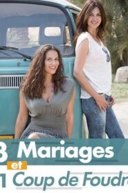 Trois mariages et un coup de foudre 2016 one on netflix