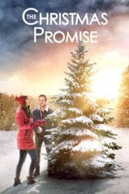 The Christmas Promise 2021 one on netflix