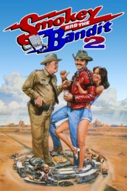 Smokey and the Bandit II 1980 one on netflix