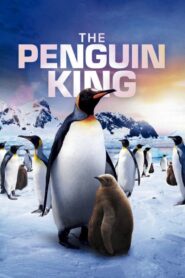 The Penguin King 2012 one on netflix