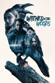 Witches in the Woods 2019 one on netflix
