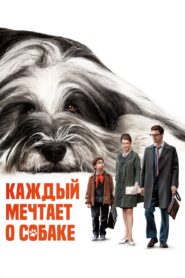 Everyone Dreams of a Dog 2024 one on netflix