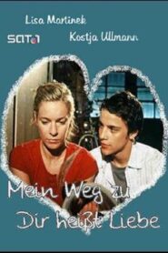 Mein Weg zu dir heißt Liebe 2004 one on netflix