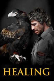 Healing 2014 one on netflix