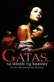 In the Bosom of the Enemy 2001 one on netflix