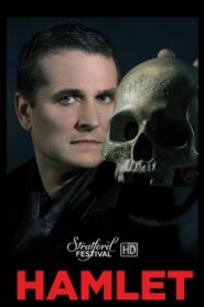 Hamlet 2016 one on netflix