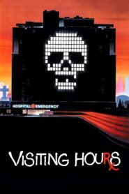 Visiting Hours 1982 one on netflix