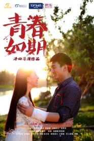Youth on Schedule 2013 one on netflix
