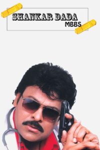 Shankar Dada MBBS 2004 one on netflix