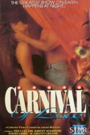 Inside the Love House 1983 one on netflix